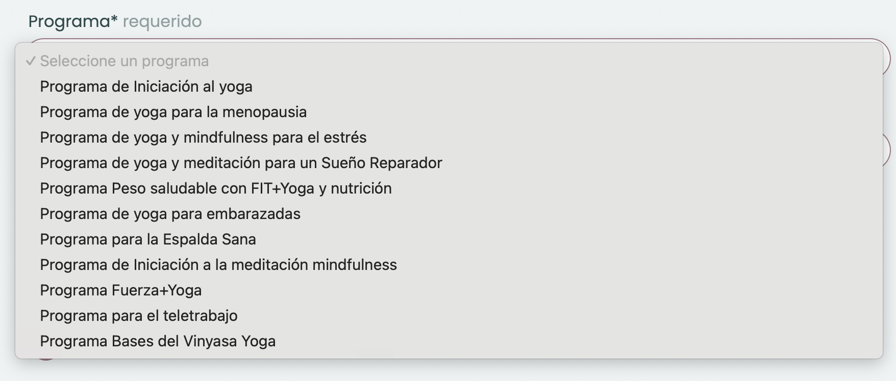 Captura de pantalla 2025-06-18 a las 17.52.24.png